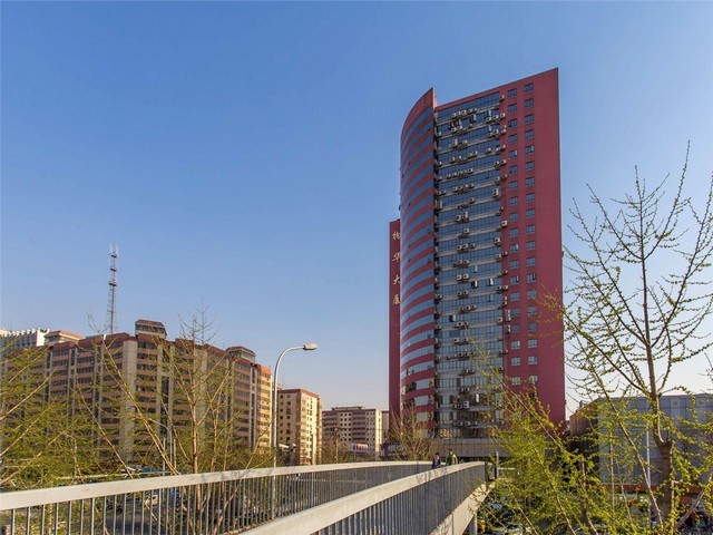 天然马铃薯雪花全粉厂家哪里有